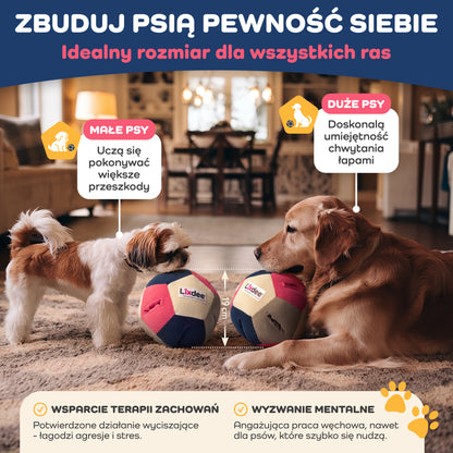 Lixdee® Piłka Węchowa DEE.BOL